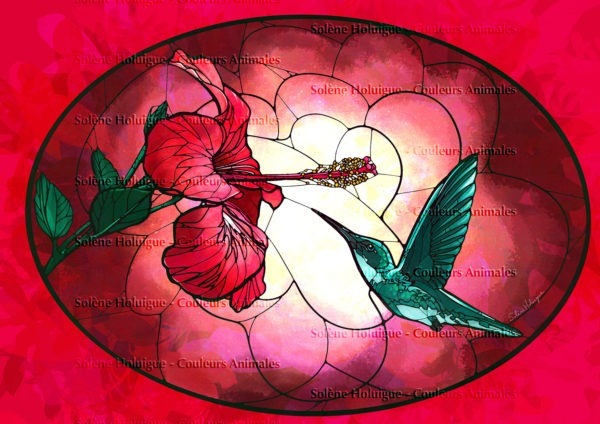 Les "dessins vitraux" de lumières animales - Colibri et hibiscus rose