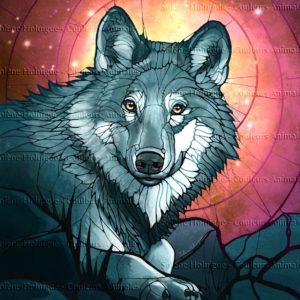Les "dessins vitraux" de lumières animales - Loup gris