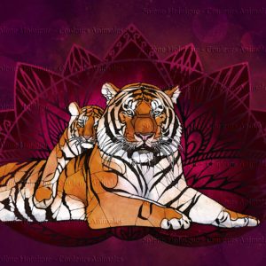 Les "dessins vitraux" de lumières animales - Tigre Mère et fils