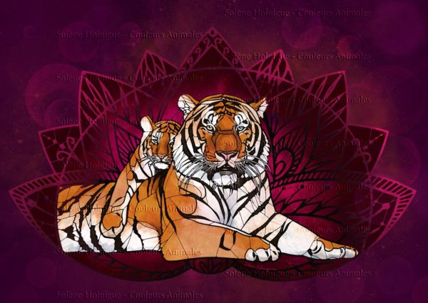 Les "dessins vitraux" de lumières animales - Tigre Mère et fils